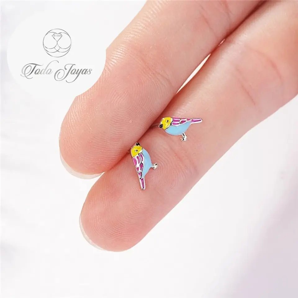 Aros de Pajaro Multicolor Plateado 6