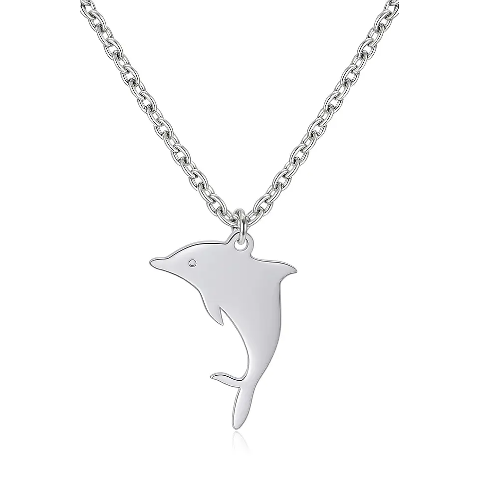 Collar Delfín Acero Plateado 1
