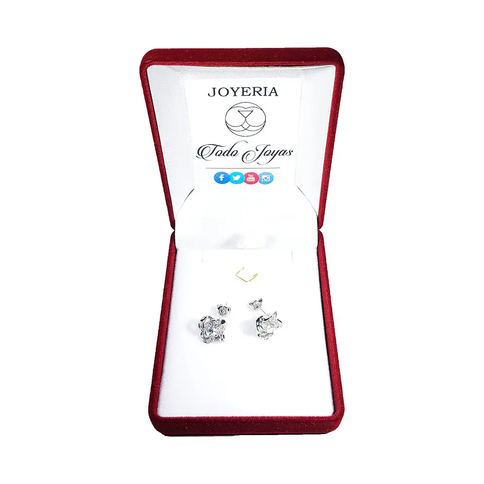 Aros Nudo Circones Plateado 2