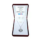 Collar Medalla Plata 925 Virgen Del Carmen - Miniatura 2