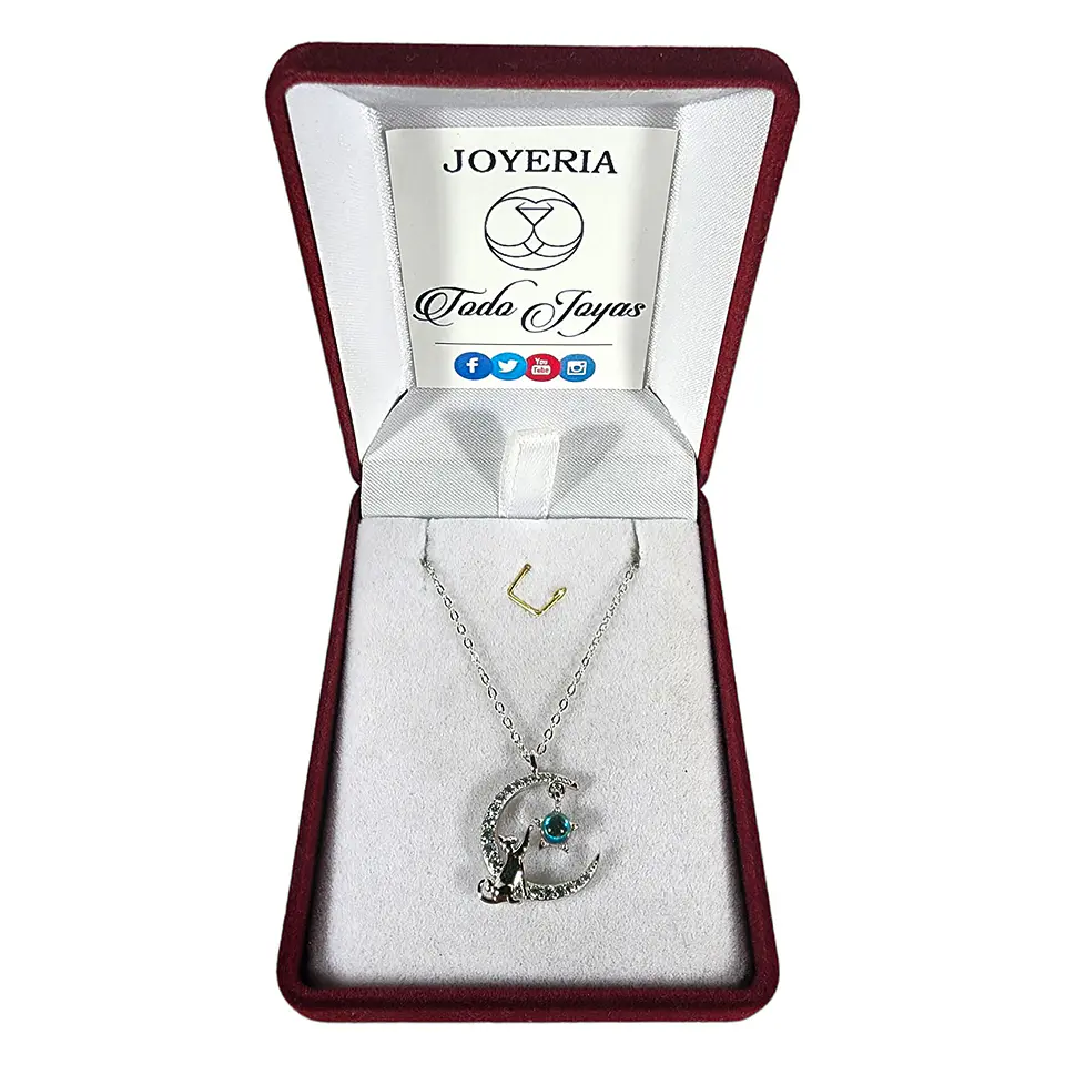 Collar Plata 925 Gato en Luna y Estrella 2