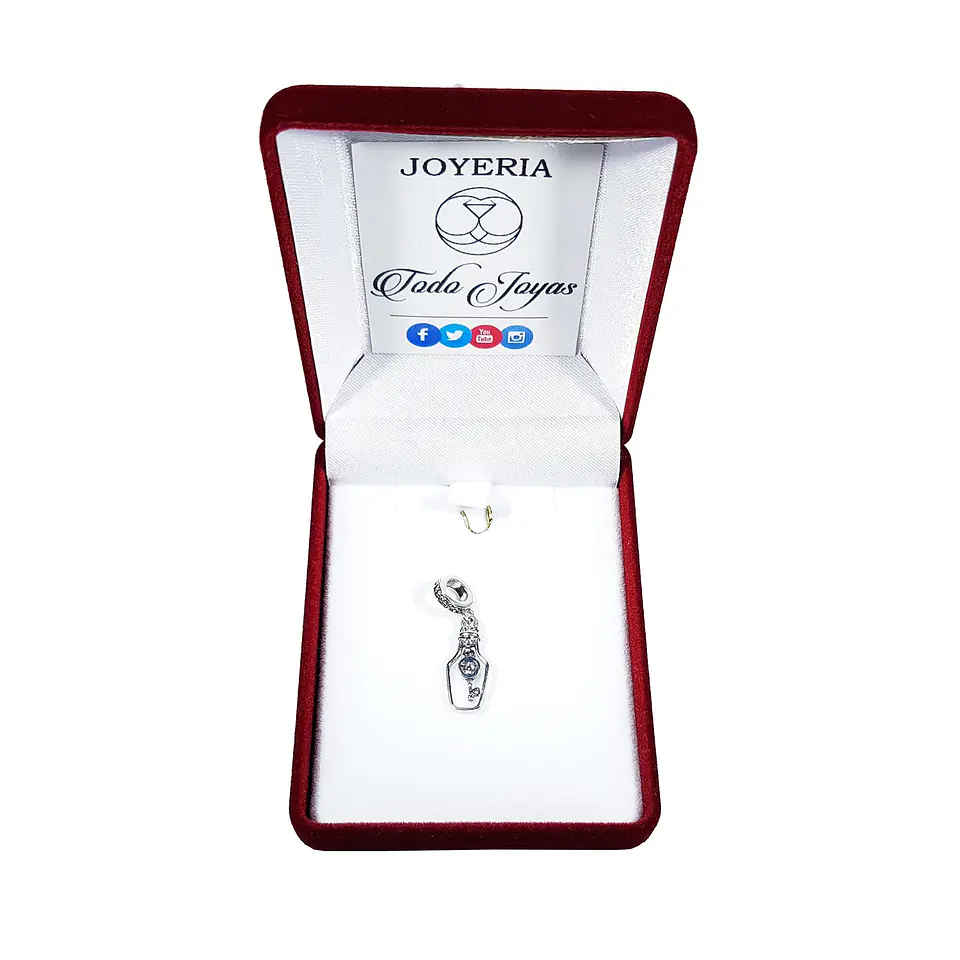Charm Dije Plata 925 Botella con Llave  2