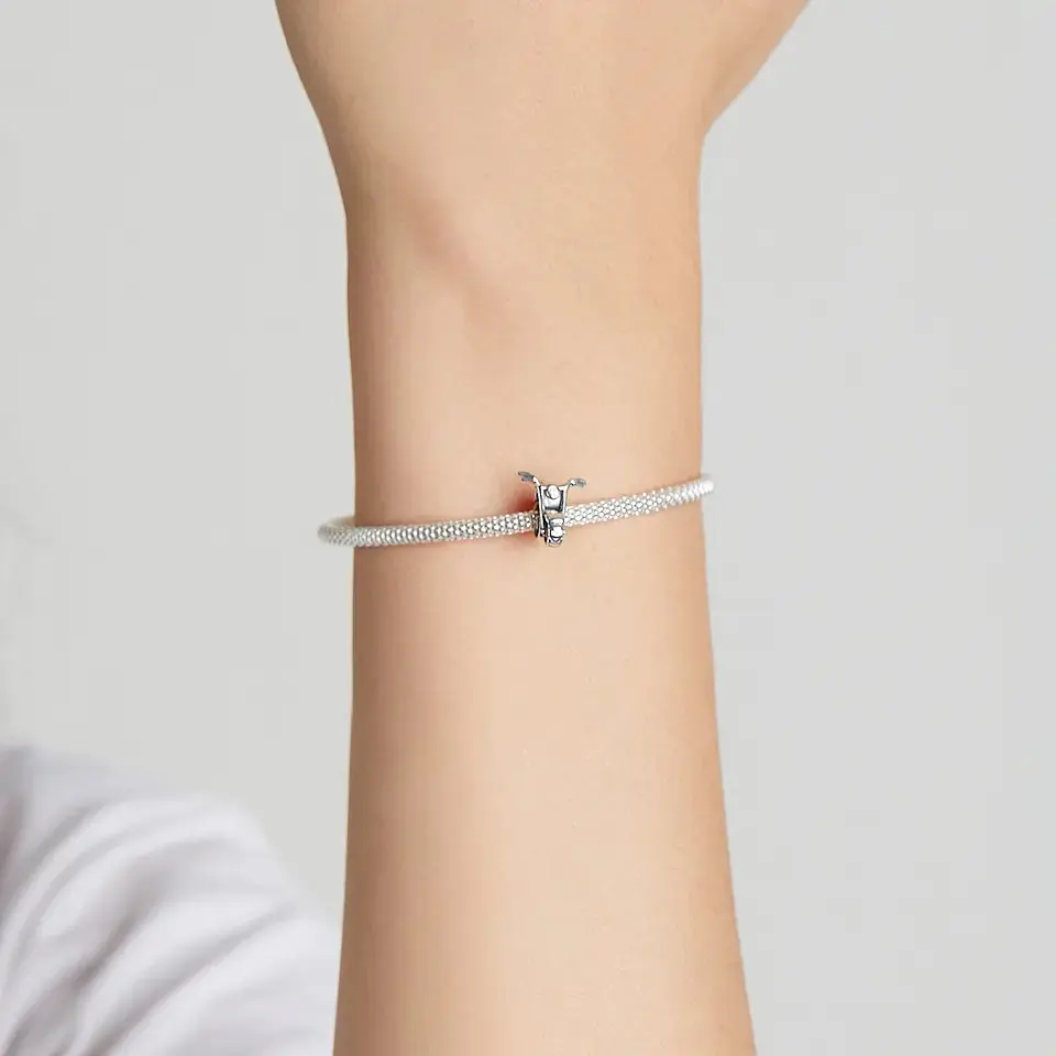 Charm Dije Plata 925 Moto Clasica 2