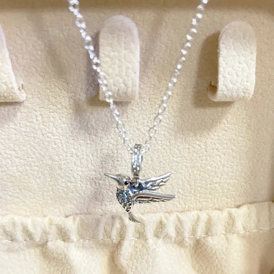 Charm Dije Plata 925 Colibrí Pajaro Ave Plateada 5