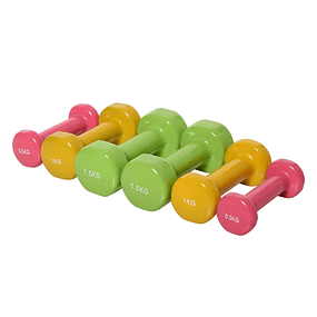 Pack de pesas hexagonales de 4 3 2 y 1 Kg de acero y plástico rosa violeta  amarillo y verde Homcom