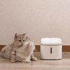 Bebedero para mascotas inteligente Xiaomi