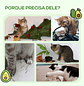 Árvore Arranhador para Gatos com Cama em Forma de Abacate Plataforma Postes de Sisal e Bola Suspensa Ø44x83cm Verde - Thumbnail 5