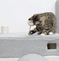 Cat Tunnel with Cave Pet Tunnel with Top Hole and Hanging Ball 48x95x58cm Gray - thumbnail 11