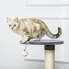 Árvore Arranhadora para Gatos Pequena Altura 59cm com Caverna de Pelúcia Suave Almofada Lavável Plataforma Poste de Sisal Natural e Bola de Brinquedo 55x36x59cm Cinza