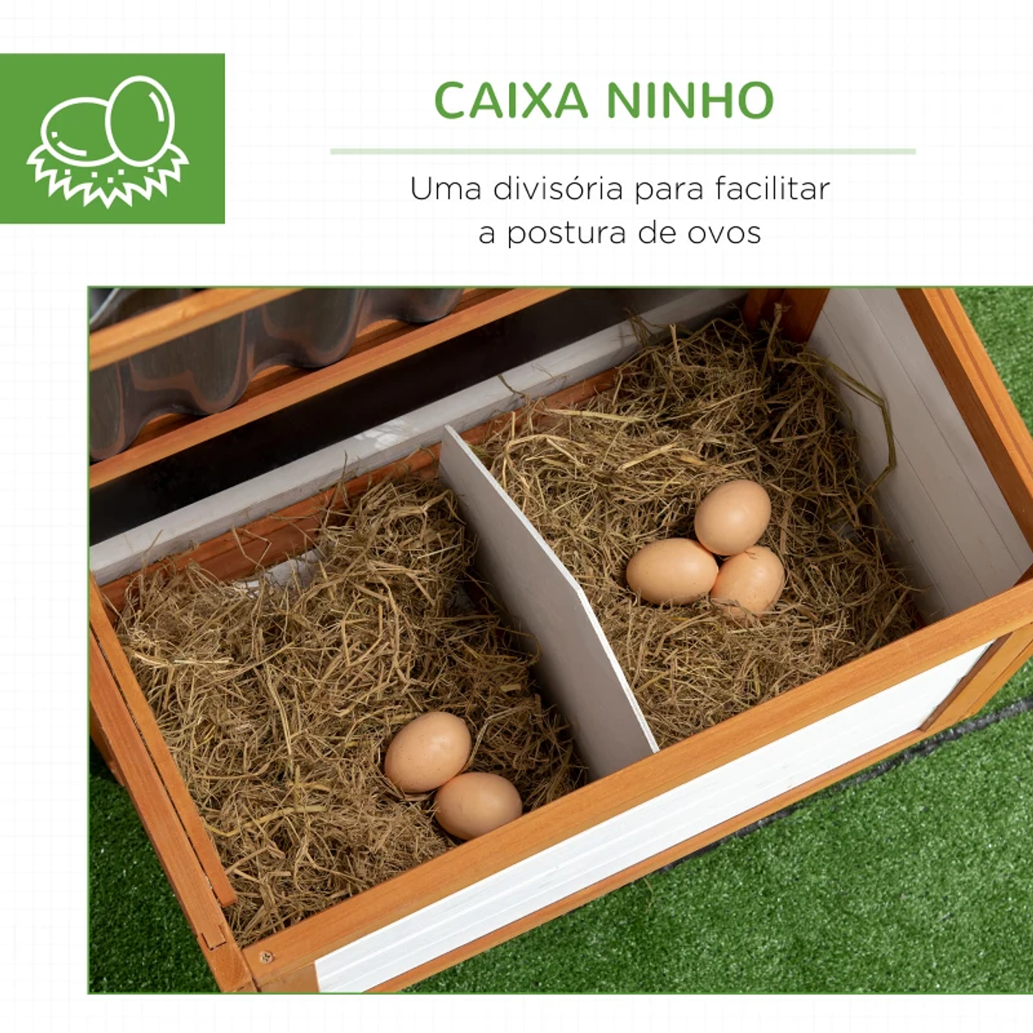 Outdoor Wooden Chicken Coop for 2-4 Hens with 2 Perches Nest Removable Tray and Ramp 181x79.5x117.5cm Wood 6