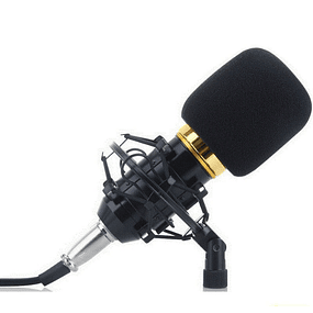 Microfone de estudio BM-800