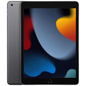 Apple iPad 256GB WiFi  - Cinza