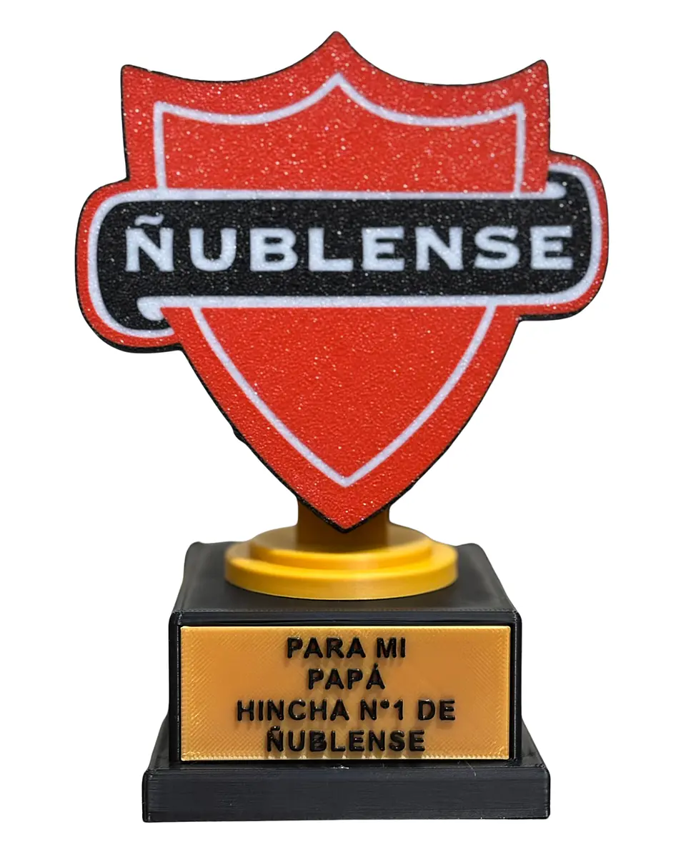 Trofeo Ñublense 1