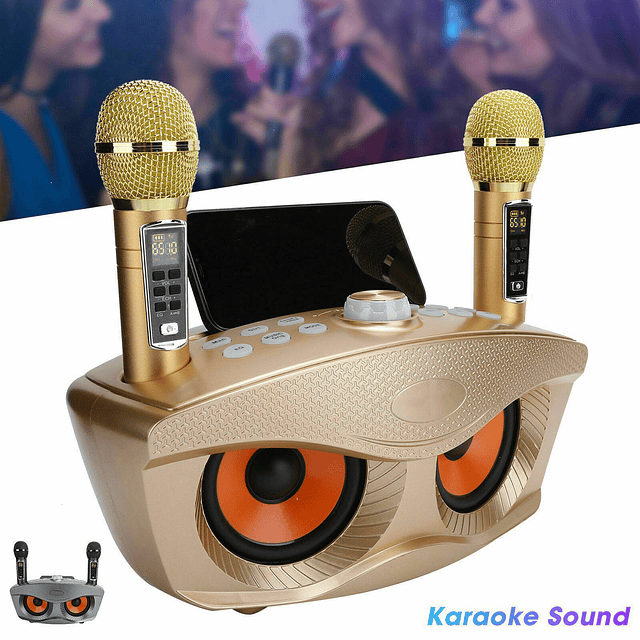 Máquina de Karaoke profesional SD306Plus, Altavoz Bluetooth inalámbrico con micrófono Dual, sistema KTV para el hogar al aire libre, reproductor de música portátil