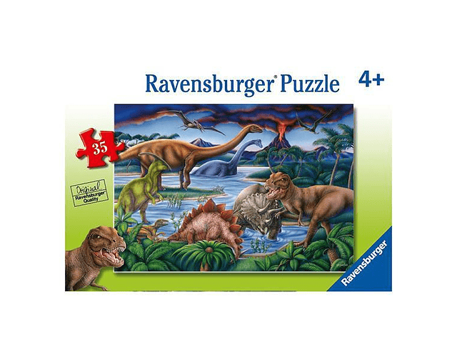 Puzzle 35 Piezas 
