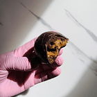 Huevo Riyan Relleno 2