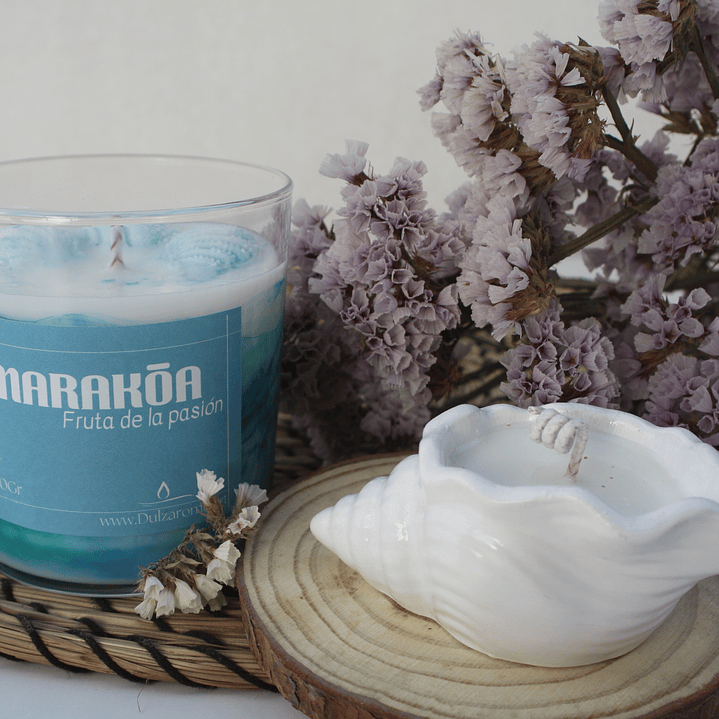 Concha (Brisa marina) 2