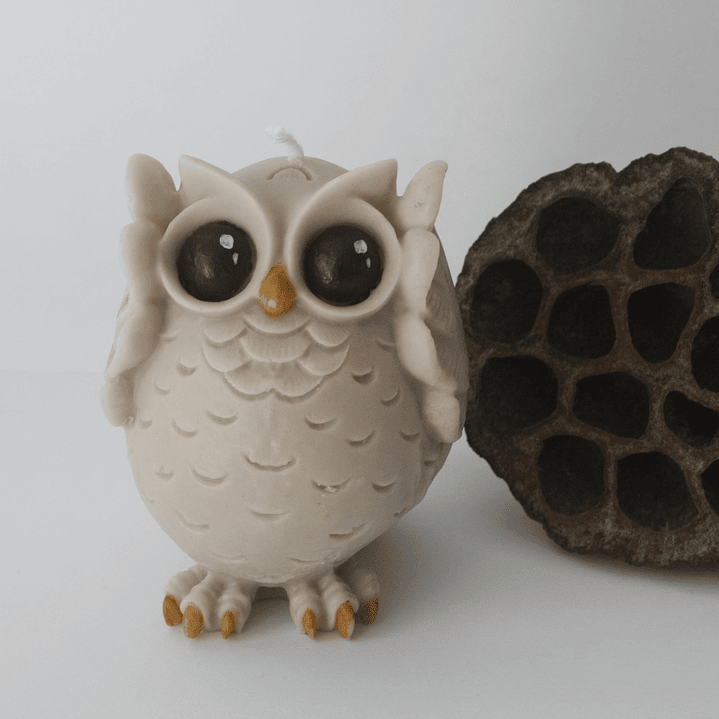 Búhos ciego, sordo, mudo  2