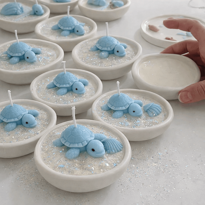 Recordatorios eventos Tortuga 🐢  1