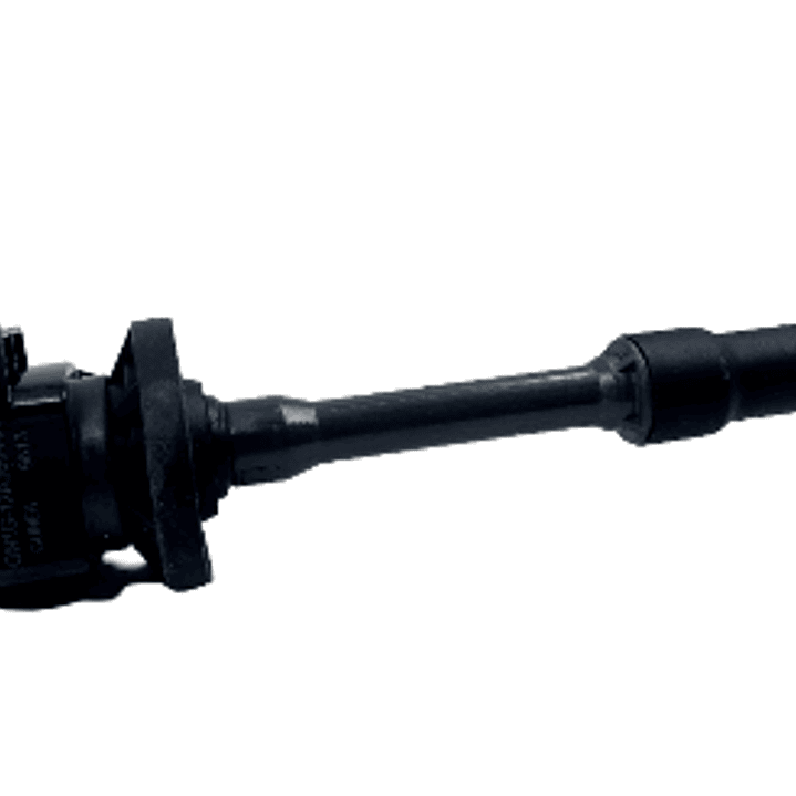 BOBINA ENCENDIDO ECOSPORT 1.5 MOTOR DRAGON 1