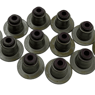 RETEN VALVULA (SETx12) ECOSPORT 1.5 DRAGON