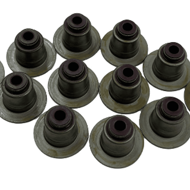 RETEN VALVULA (SETx12) ECOSPORT 1.5 DRAGON 2