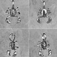 Collar Escorpión, Acero Inoxidable, Hombre - Miniatura 5