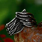 Anillo Wings Of Liberty, Acero Inoxidable, Unisex - Miniatura 3