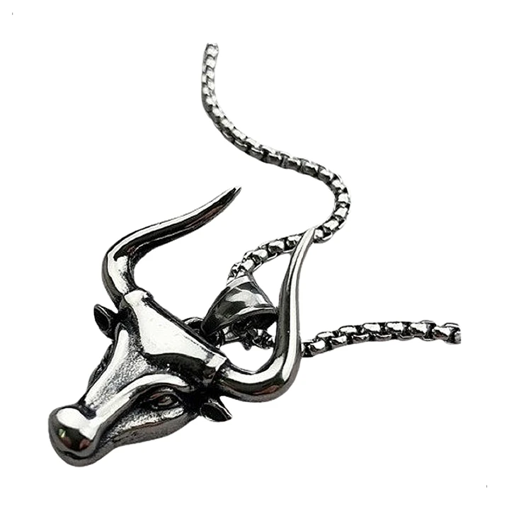 Collar Toro Acero Inoxidable Hombre 1