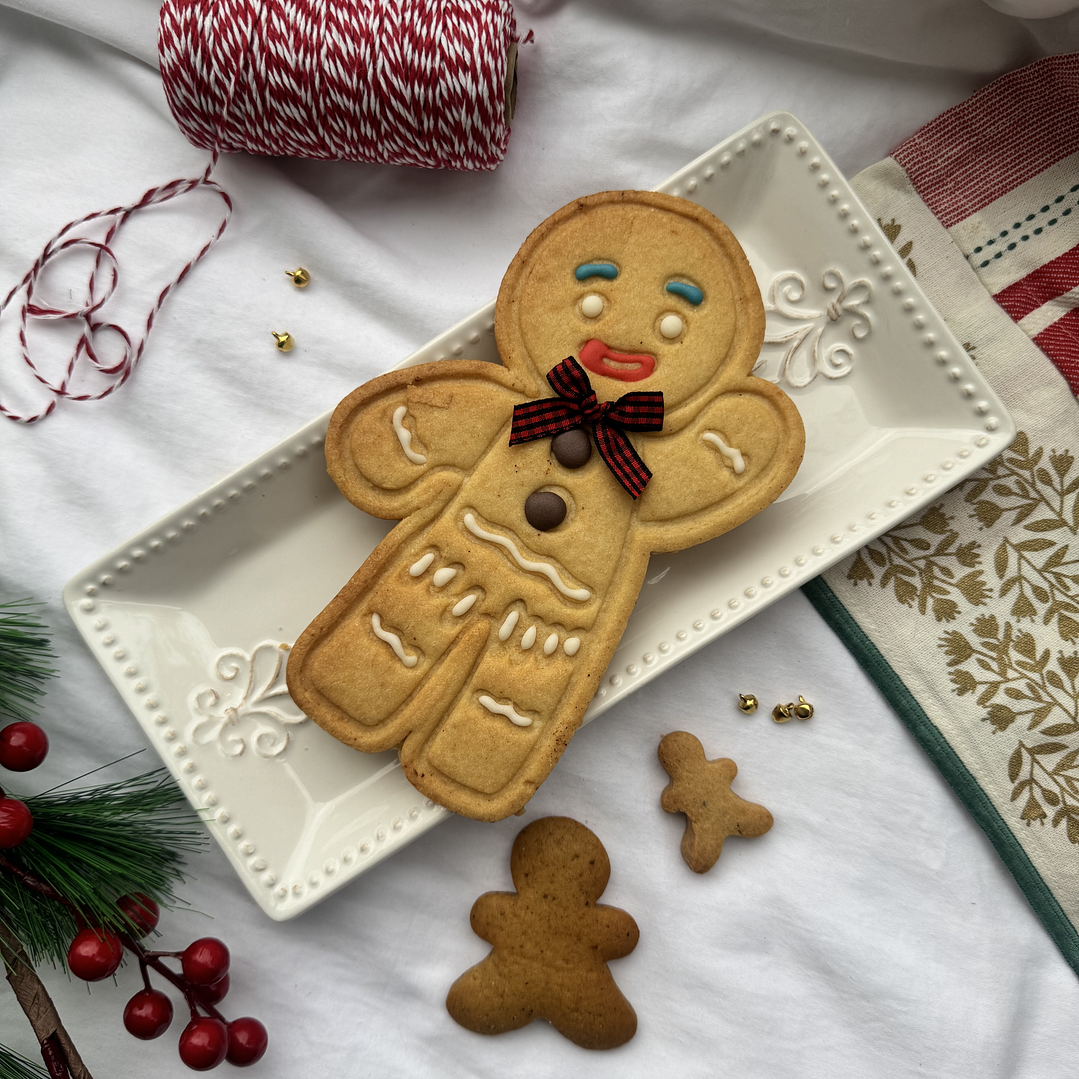 Muñeco Jengibre Gigante 20cm 3