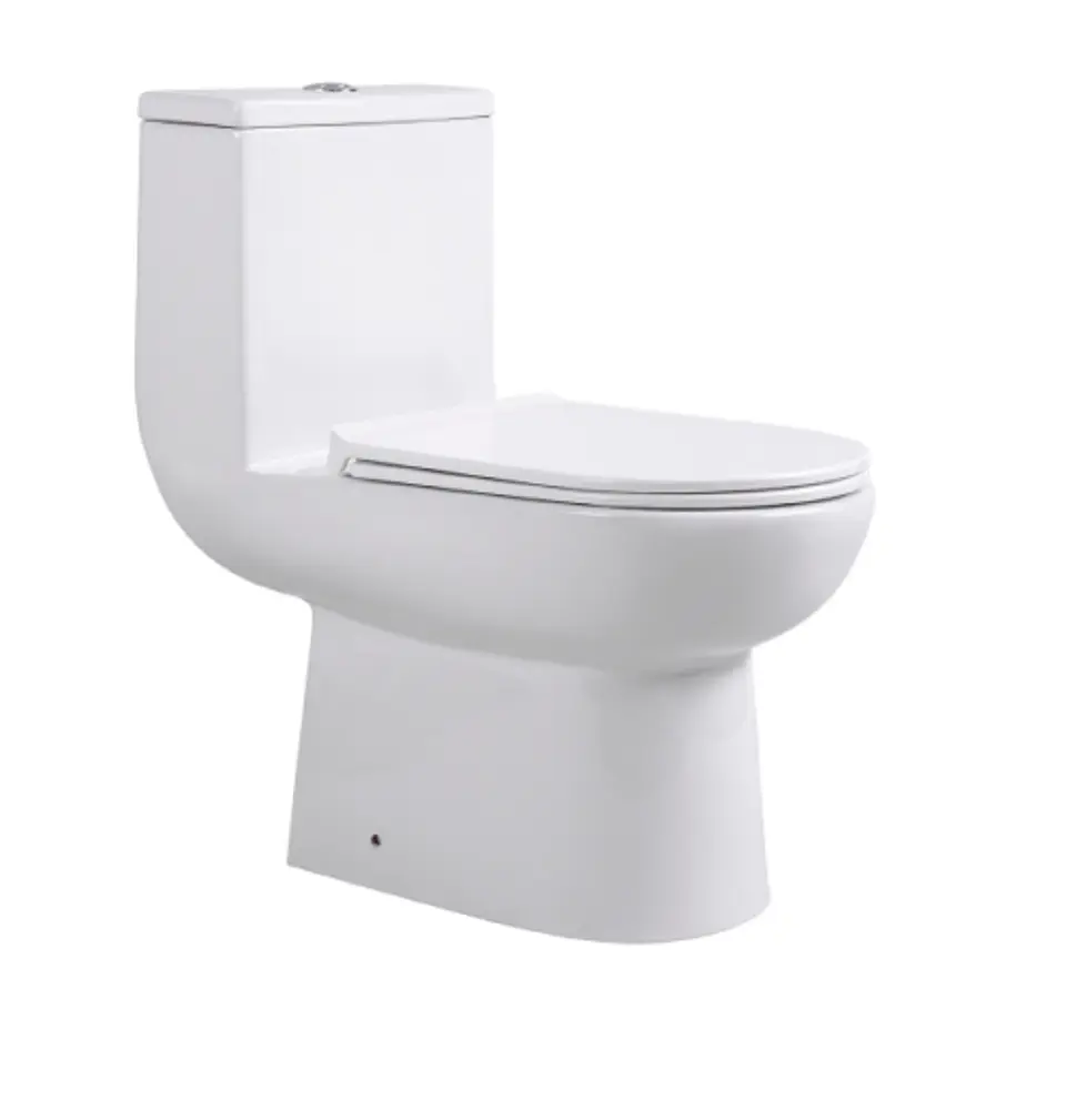 Sanitario wc one piece Falun 2