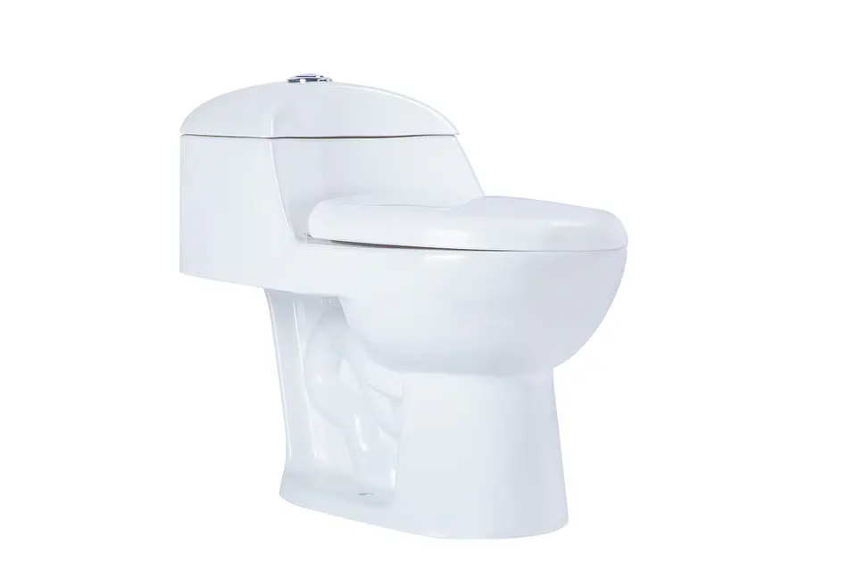 Sanitario WC One Piece Boras 3