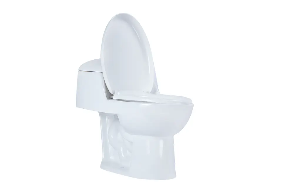 Sanitario WC One Piece Boras 4