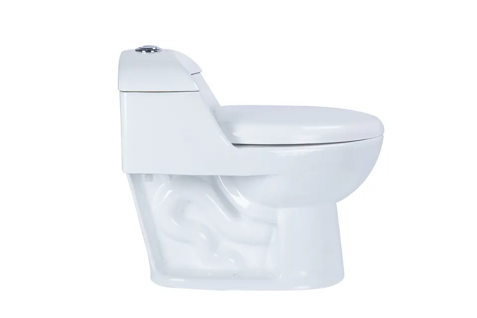 Sanitario WC One Piece Boras 6