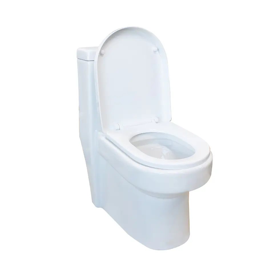 Sanitario WC One Piece Bast 3