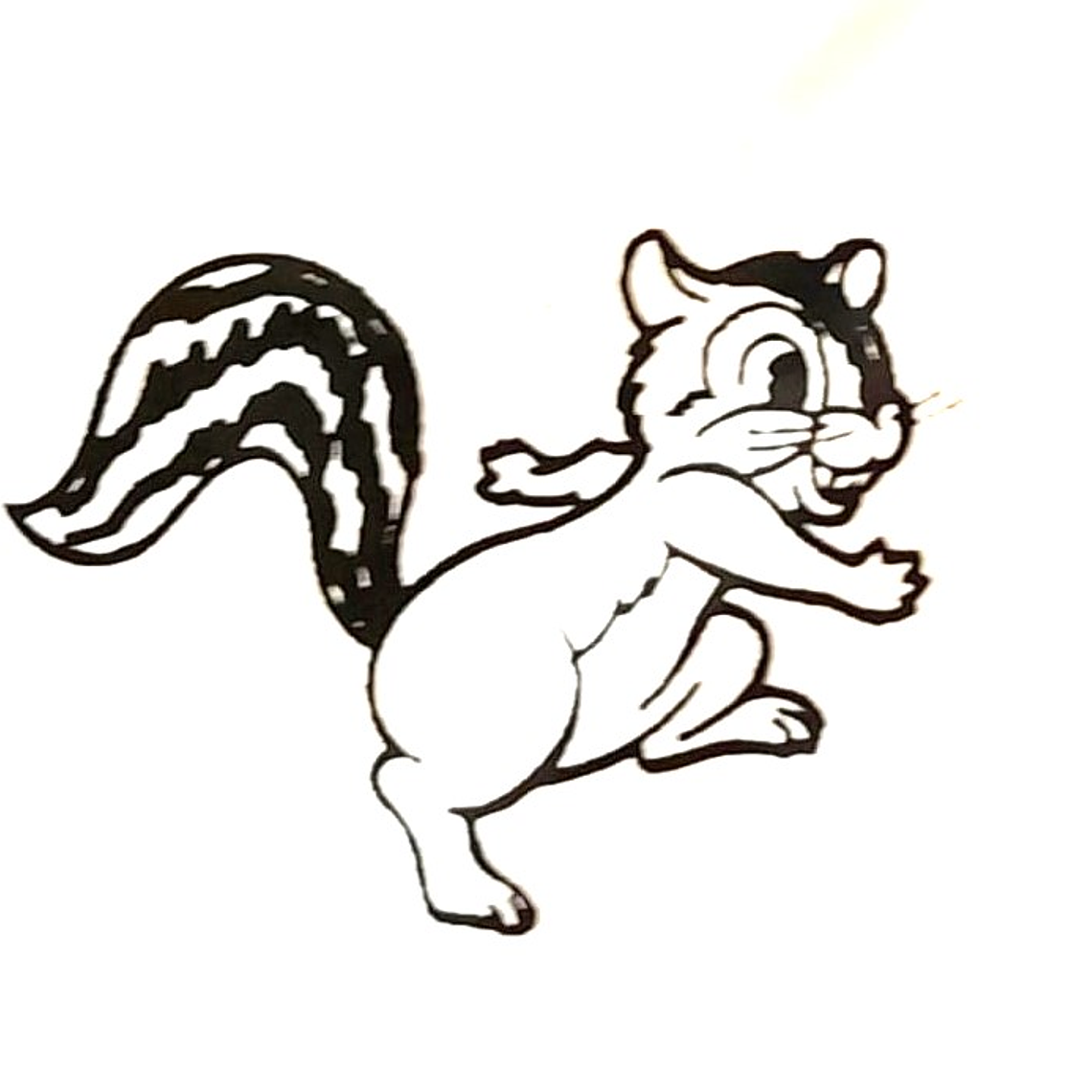 Elásticos de Ortodoncia - Chipmunk 1