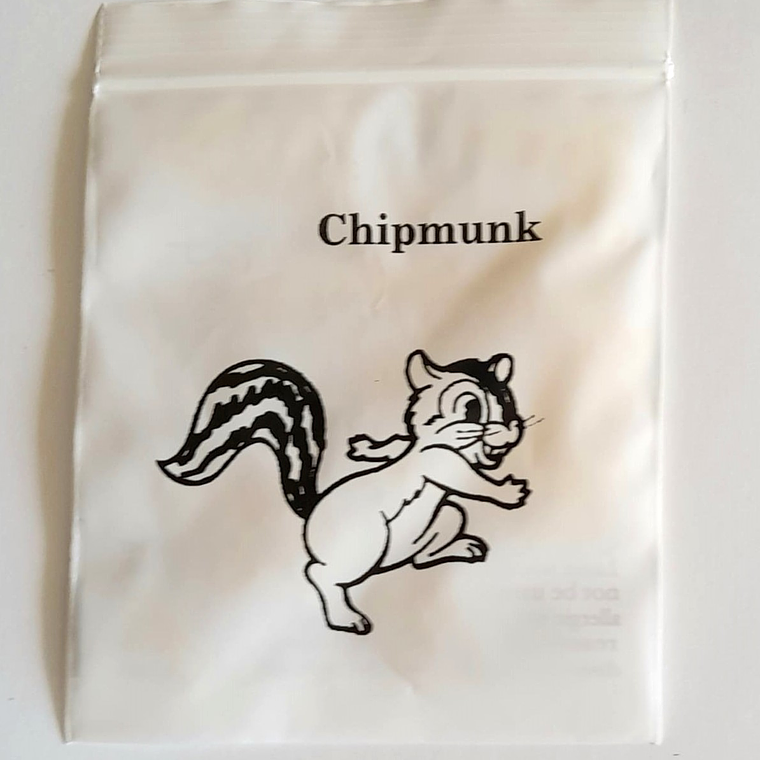 Elásticos de Ortodoncia - Chipmunk 3