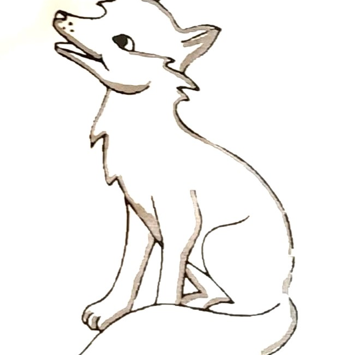 Elásticos Intraorales  Fox 1