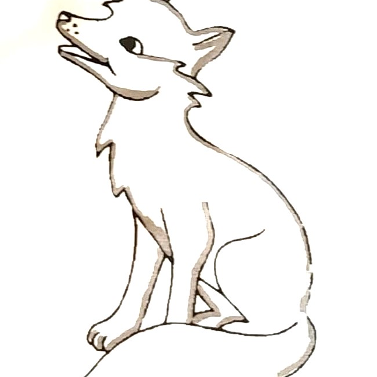 Elásticos Intraorales  Fox 1