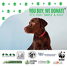 Bolsitas De Paseo - 4 Rollos Compostables 3