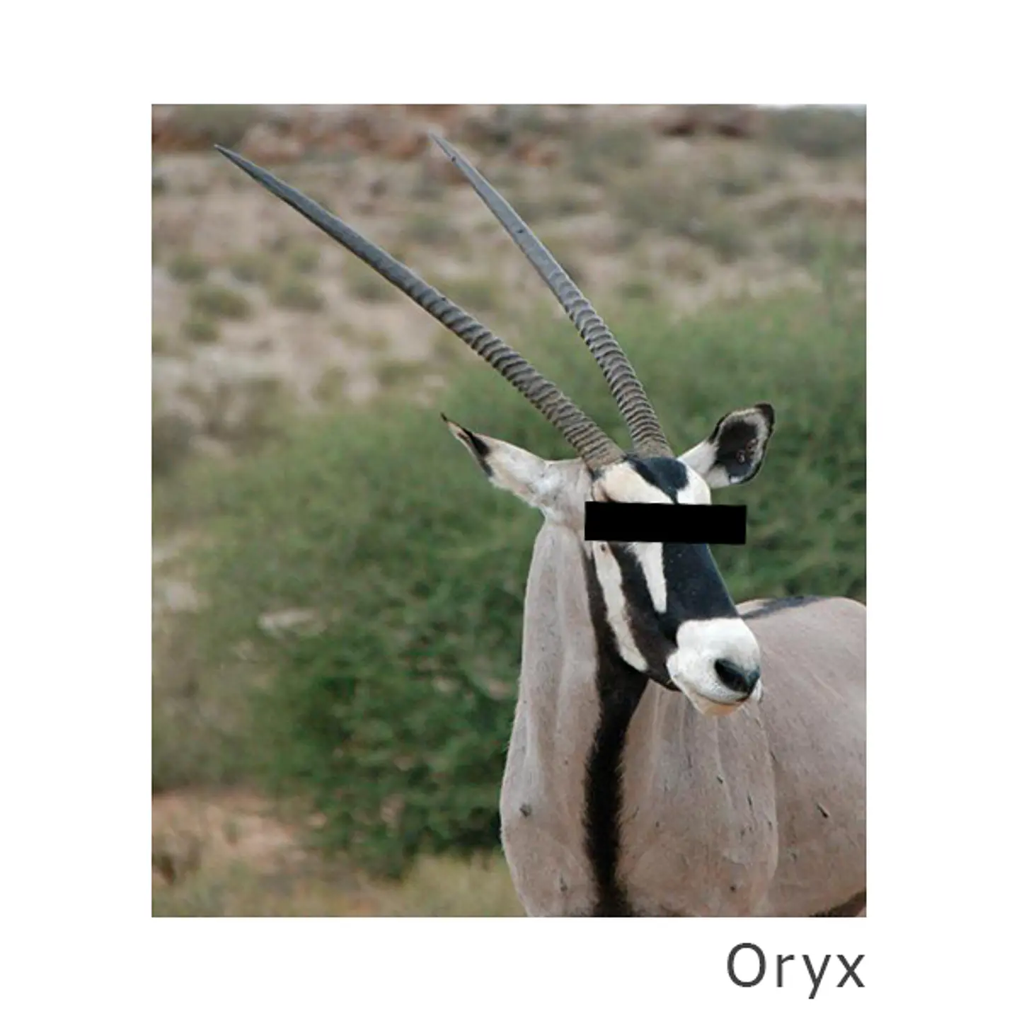 Oryx Cap 6