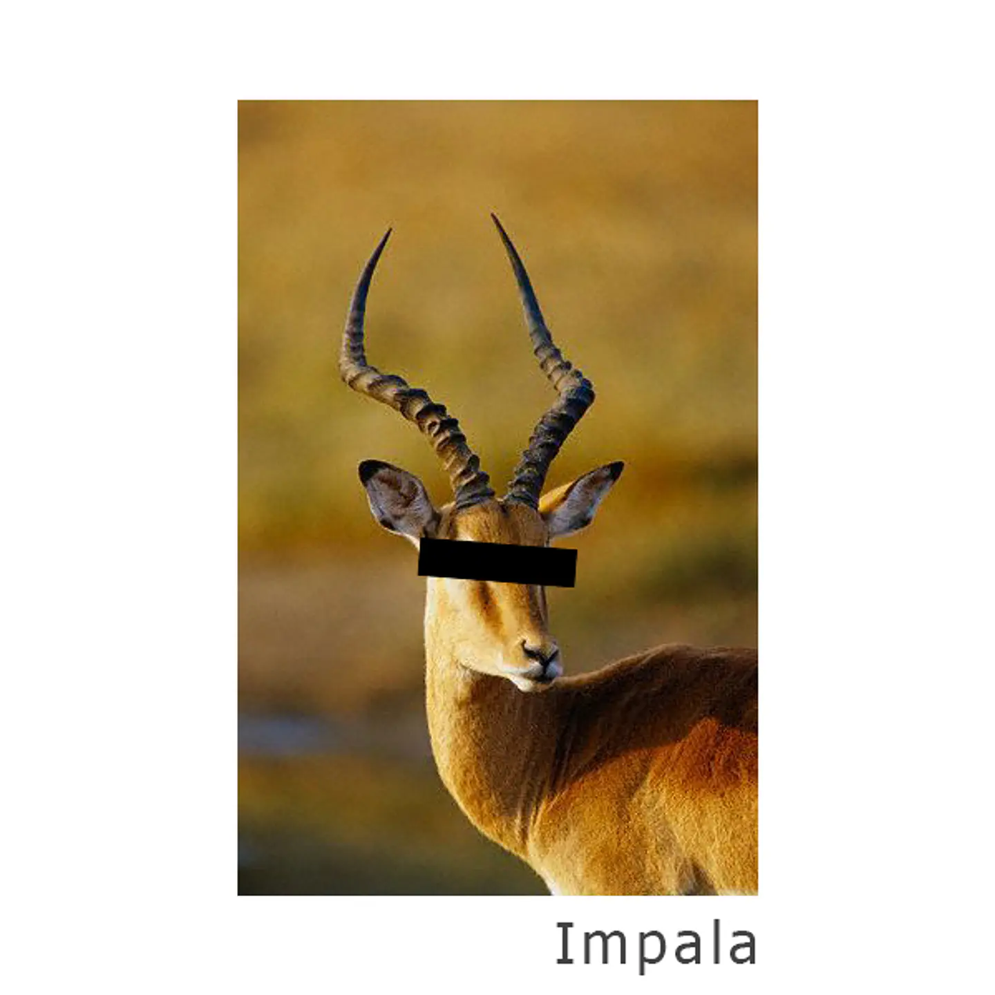 Beanie Impala 9
