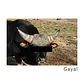 Docker Gayal - thumbnail 7