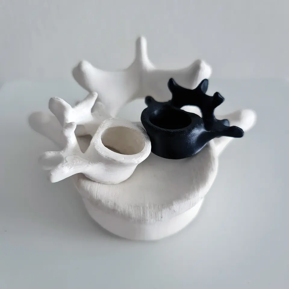 Anillo Vertebrae 6