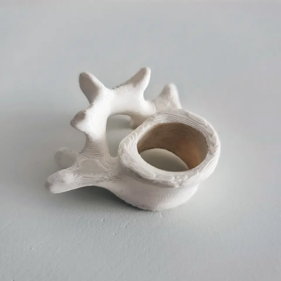 Anillo Vertebrae 3