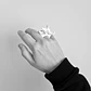 Anillo Vertebrae - Miniatura 4
