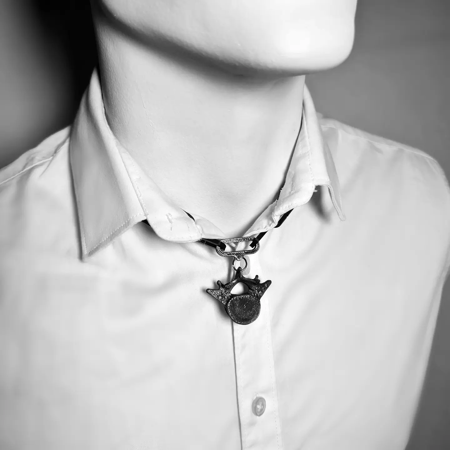 Hanging Chain Vertebrae 1