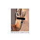 Quadricorn Beanie - thumbnail 4