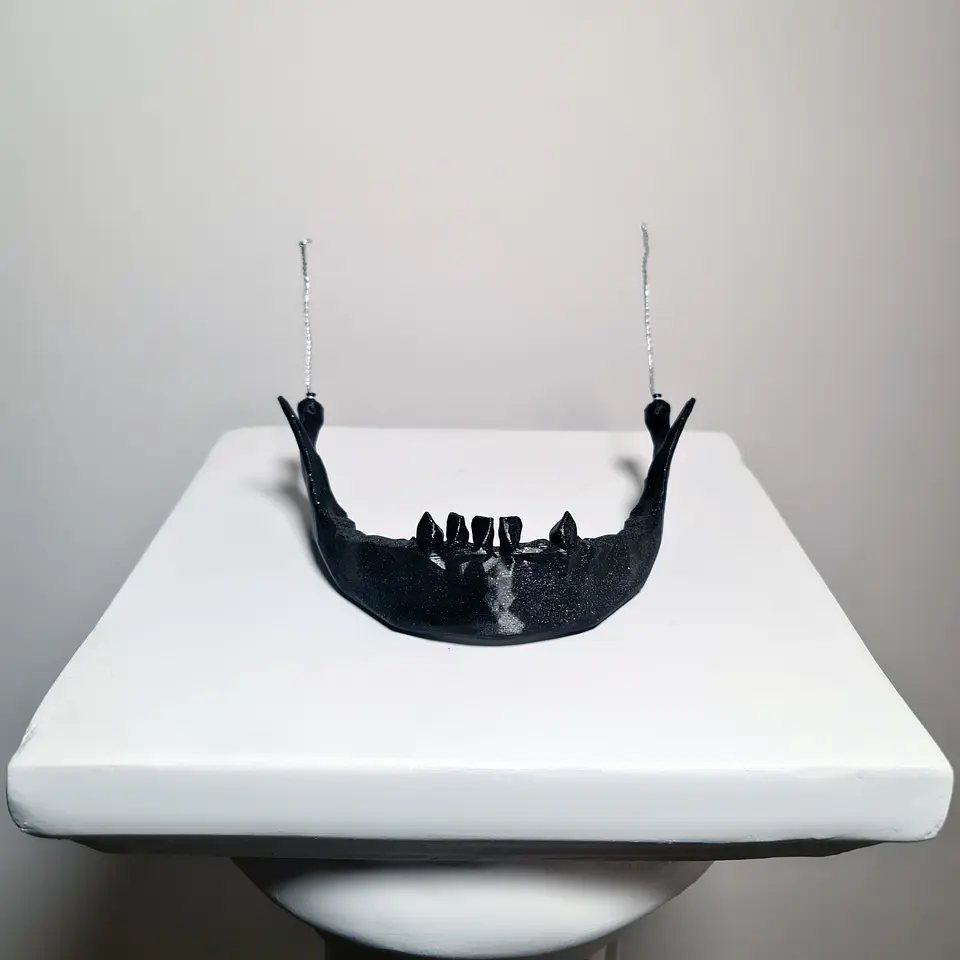 Mandíbula Calavera #1 2