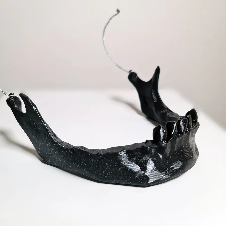 Mandíbula Calavera #1 1